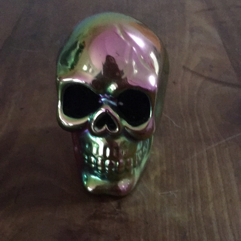Iridescent Rainbow Skull Decorative Accent - Home Art